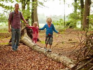 Mit den Kindern durch die Wälder der Niederlande spazieren
